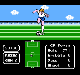 Tecmo Cup - Soccer Game NES Game